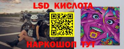 крисы Моздок