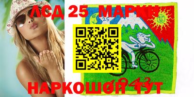 крисы Моздок