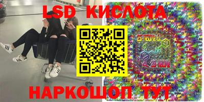 крисы Моздок