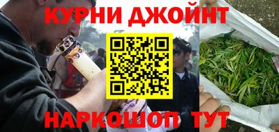 крисы Моздок