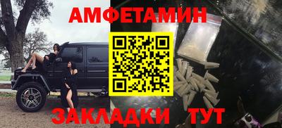 крисы Моздок