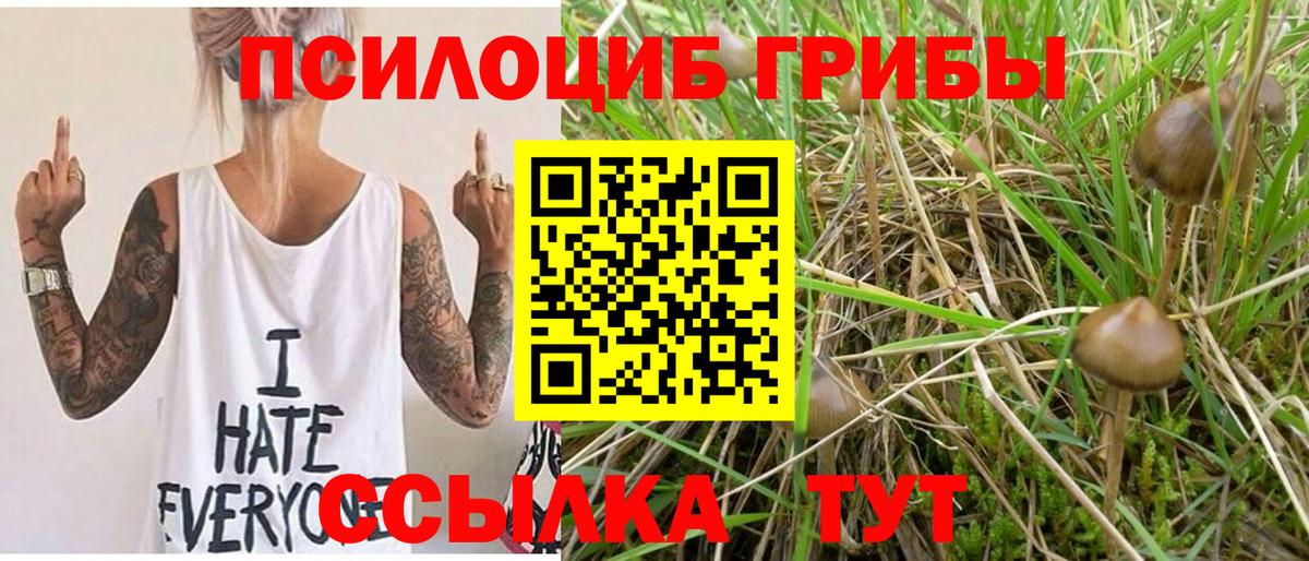 Тихвин  где купить наркоту  Вход с VPN  Галлюциногенные грибы мухоморы  Галлюциногенные грибы MAGIC MUSHROOMS 